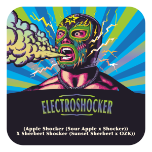 Electroshocker