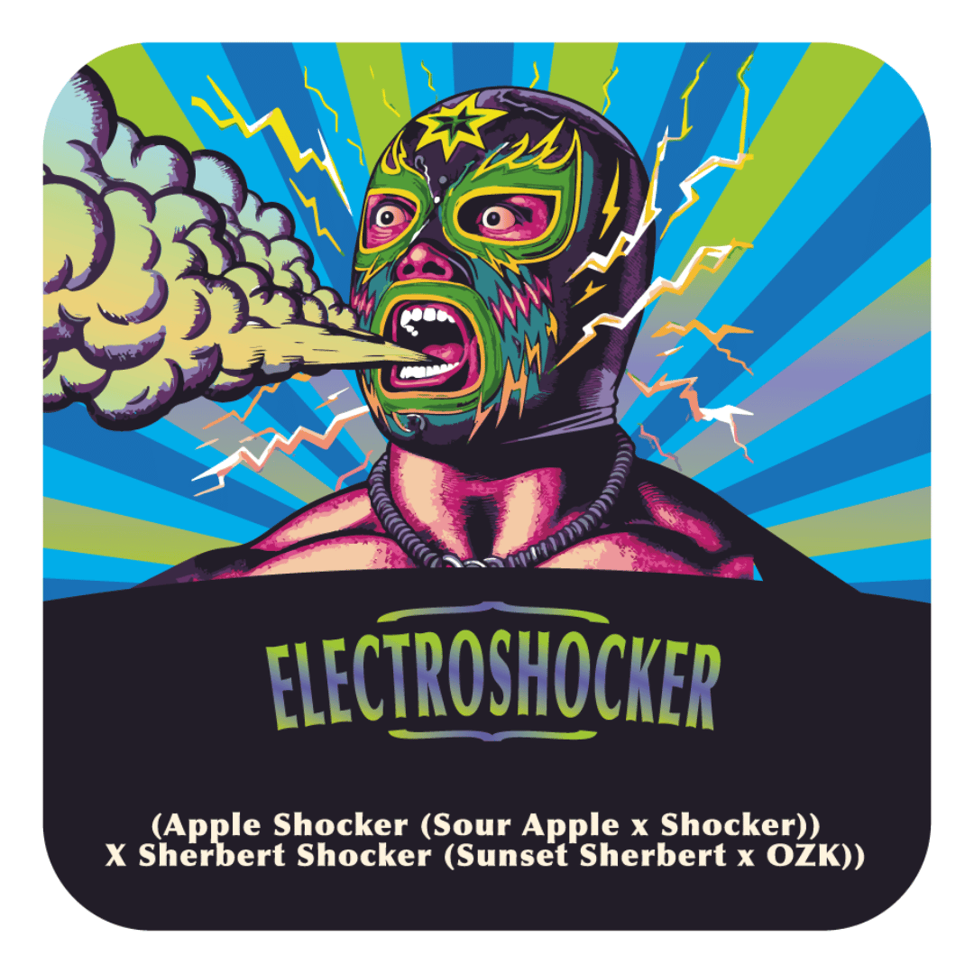 Electroshocker