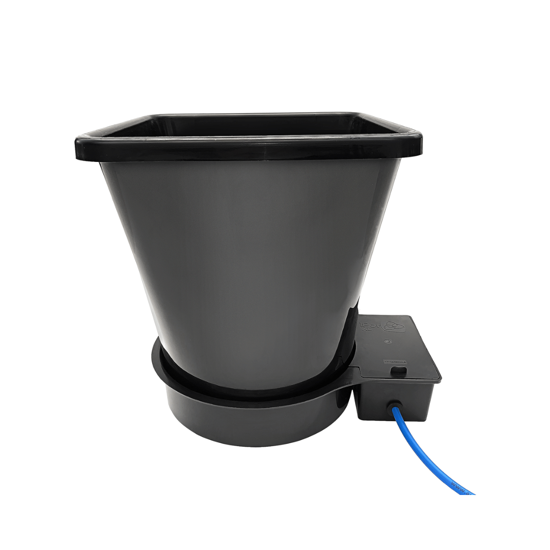 1 Pot XL Tray And Lid Black ( New -With 9mm Grommet )