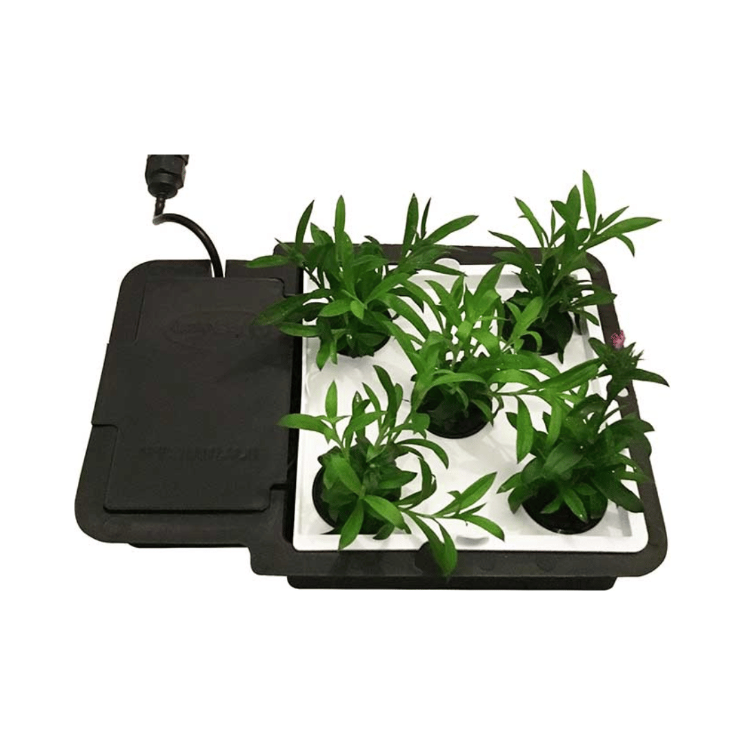 Aquaplate Square Kit - Imagen 3