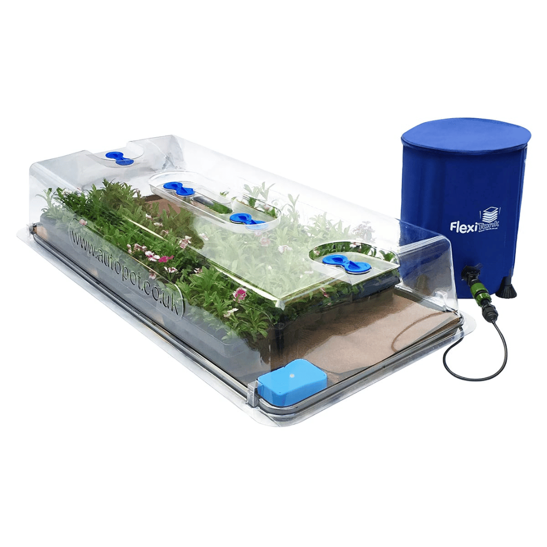 Easy2 Propagate-Kit Completo ( Con Flexitank De 25l)