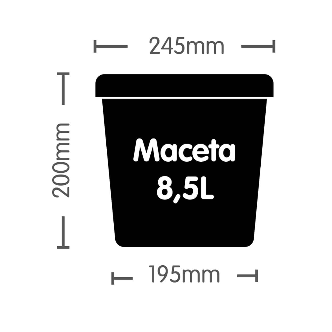 Maceta De 8.5 L Blanca - Imagen 2