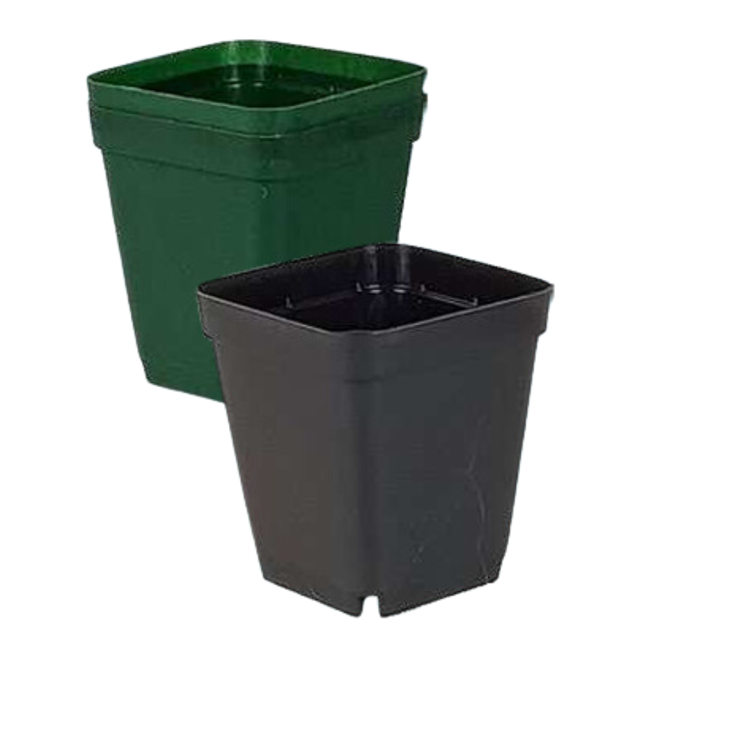 Materas Cuadradas 6.5 Cm X 7.5 Cm