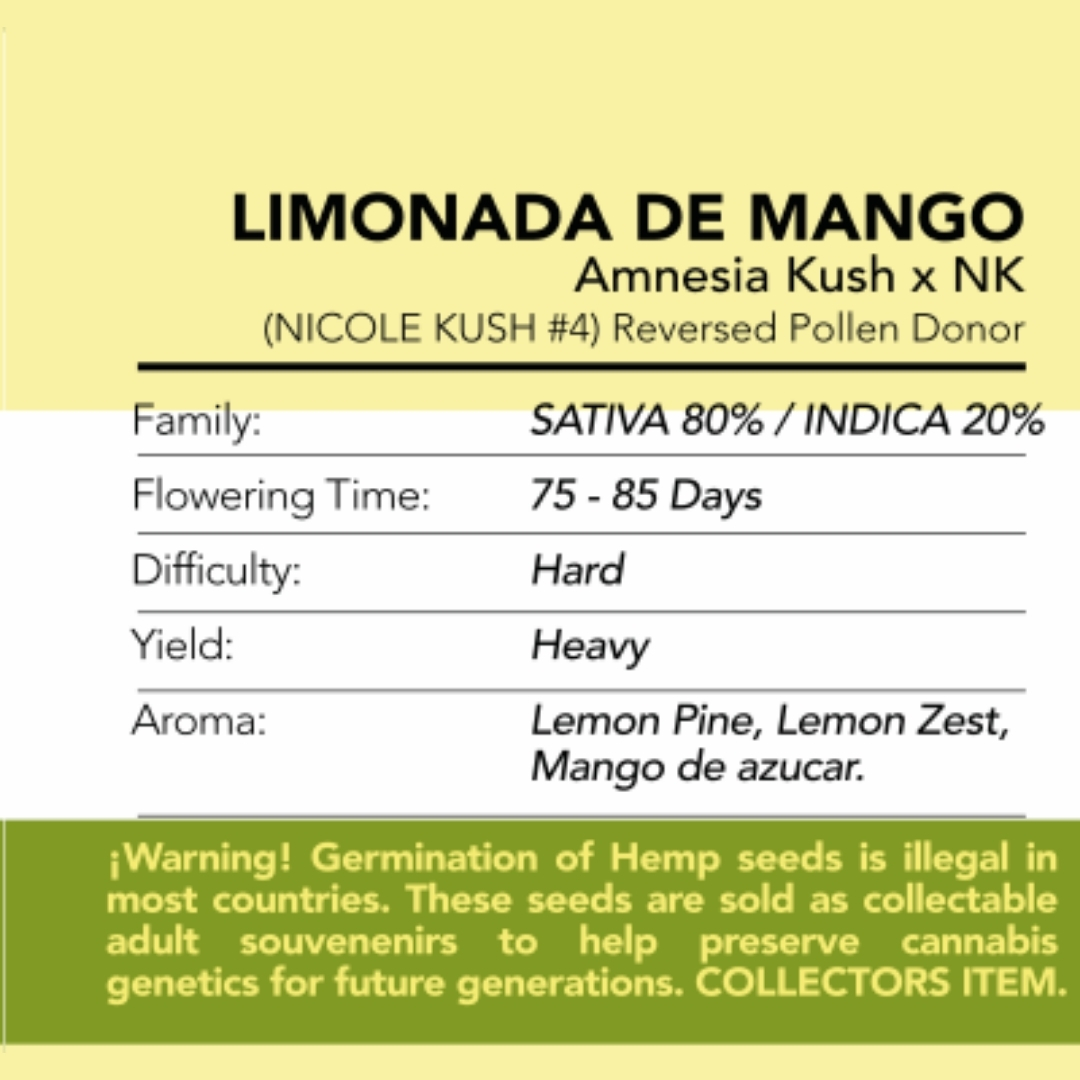 Limonada de Mango OLD x3 - Imagen 2