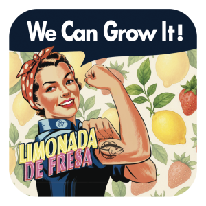 Limonada de Fresa x3