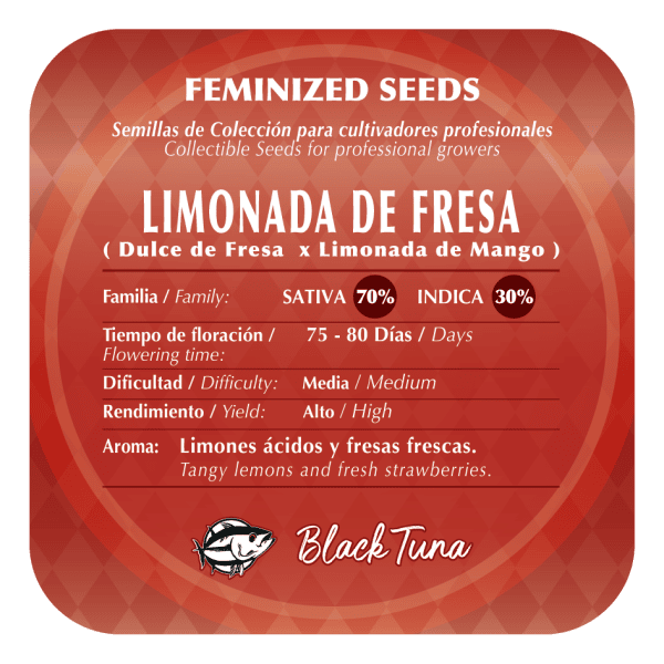 Limonada de Fresa x3 - Imagen 2