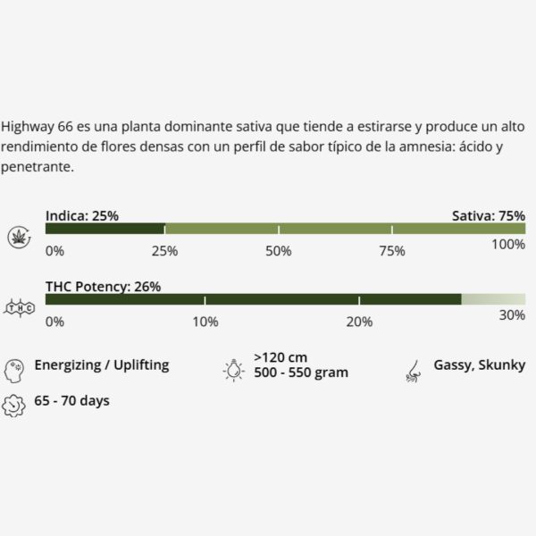 Highway 66 - Imagen 2