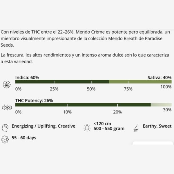 Mendo Creme X3 Málaganjah