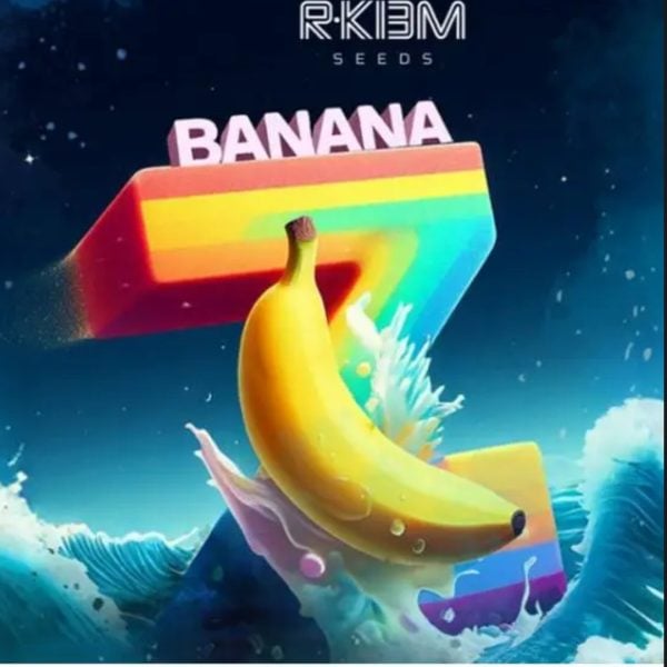 BANANA Z
