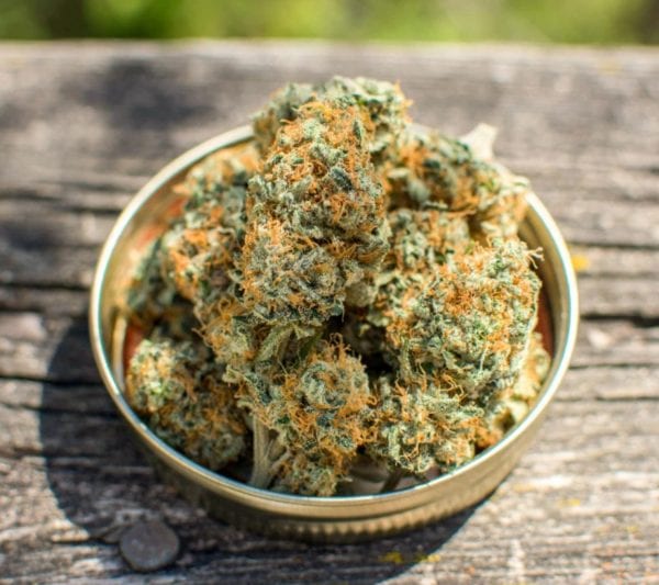 Banana Blaze Málaganjah